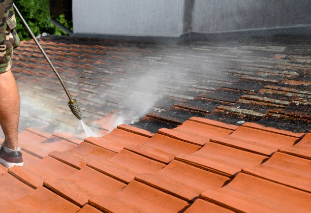 Best House Pressure Washing  in Blue Bell, PA
